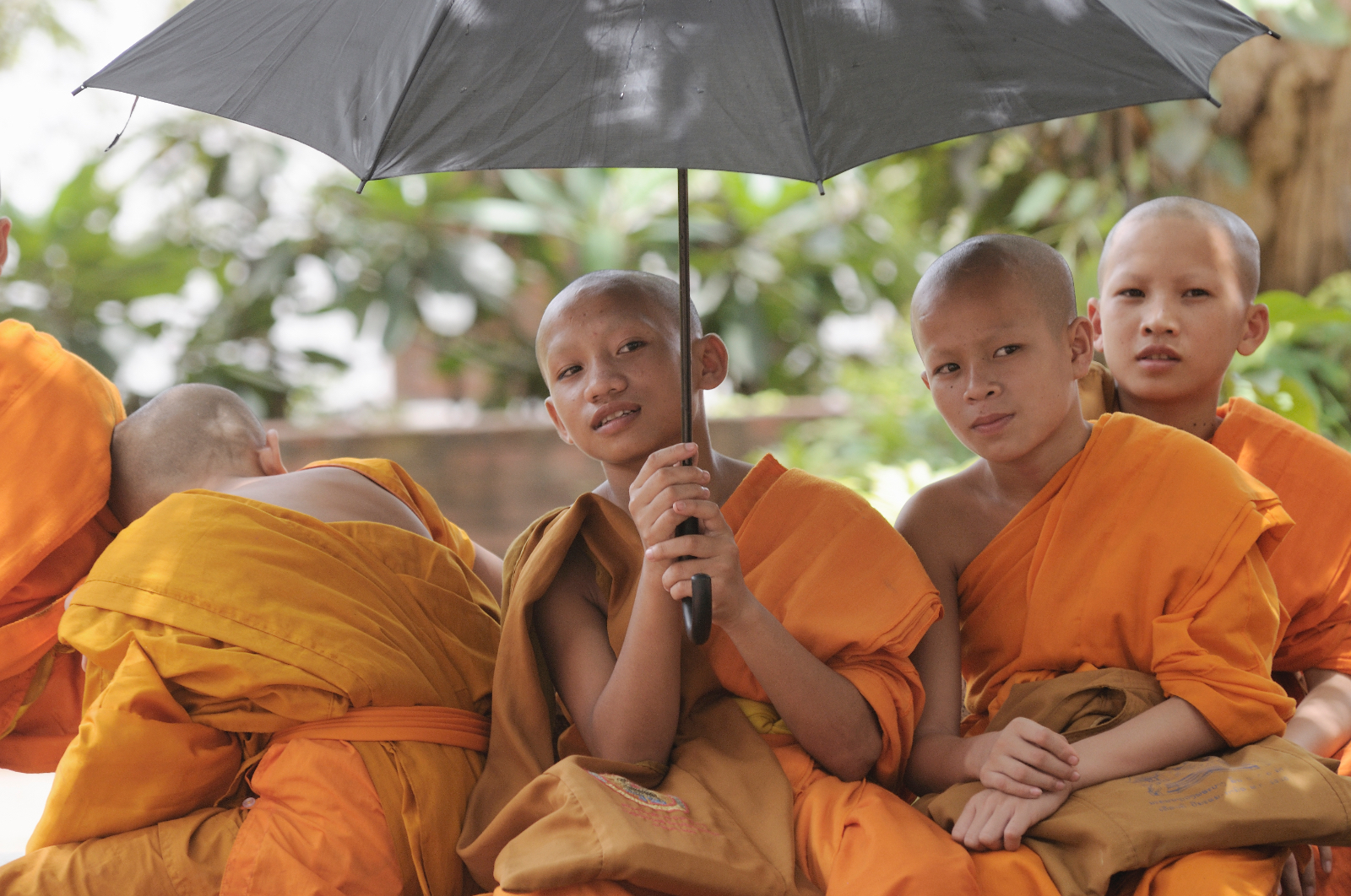 Piccoli monaci, Tailandia