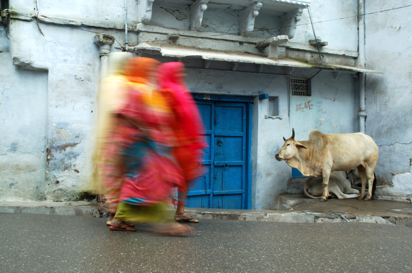 Jodhpur, India del Nord